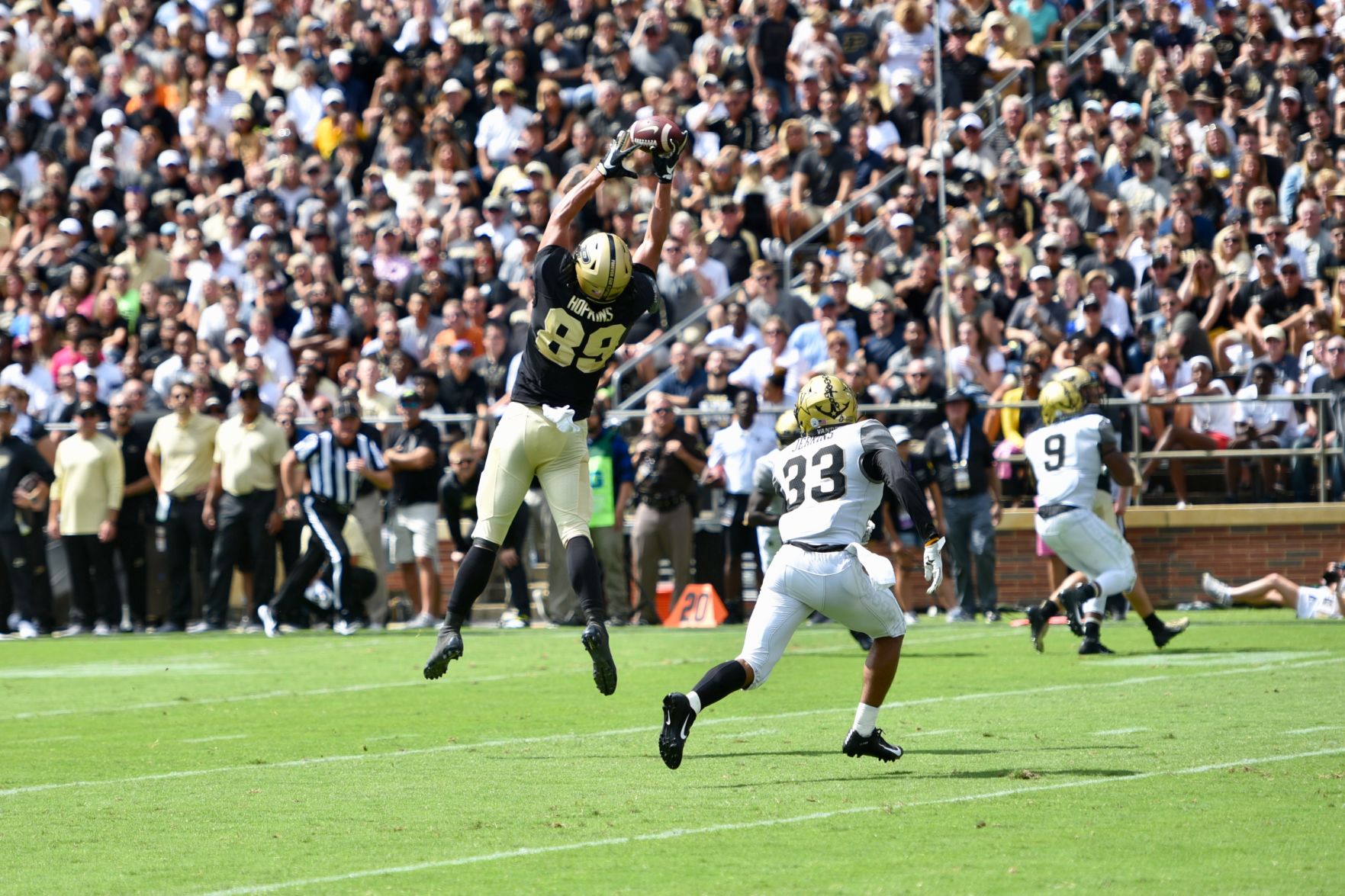 Hopkins leap.jpeg